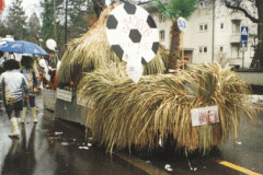 WM19