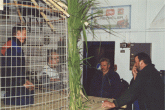 wm10