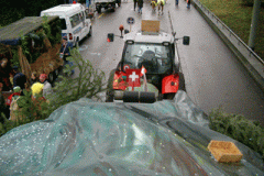 Fasnacht-Winterthur-003