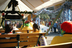 Umzug-Frauenfeld-013