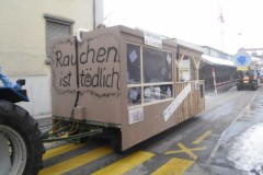 Frauenfeld_2010_22