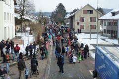 Wiesendangen_2013-005