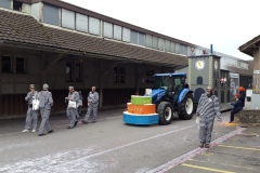 Frauenfeld6